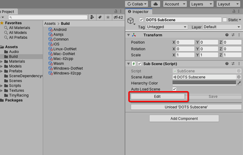 Unity_Project_Tiny_Racing_dots_subscene